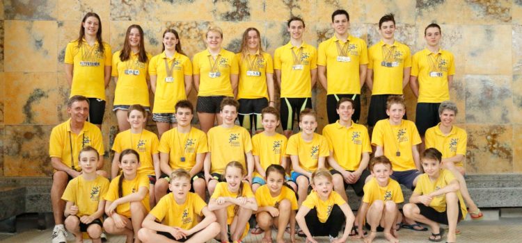 SSF Singen erschwimmen 28 von 36 Titeln